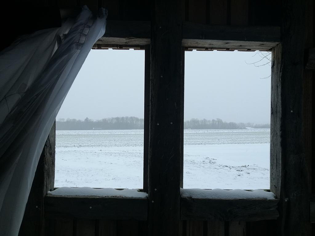 Das Siegerfoto