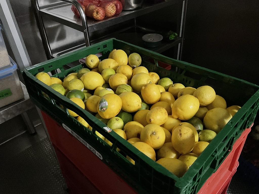 Grüne Transportkiste mit zahlreichen geretteten Zitronen in einem Küchenbereich der Schule.