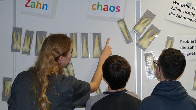 Eine junge Frau in grauer Berufskleidung (vermutlich Zahnmedizinische Fachangestellte oder Ausbilderin) zeigt und erklärt zwei männlichen Jugendlichen anatomische Modelle von Zähnen. Sie zeigt mit dem Finger auf eine der vergrößerten Zahn-Attrappen, die zusammen mit anderen Modellen und Texten (z. B. "Zahn", "chaos" und Fragen zur Zahnreihe) an einer weißen Wand befestigt sind. Die Szene illustriert die Vermittlung von Fachwissen im Bereich Gesundheit und Zahnmedizin.